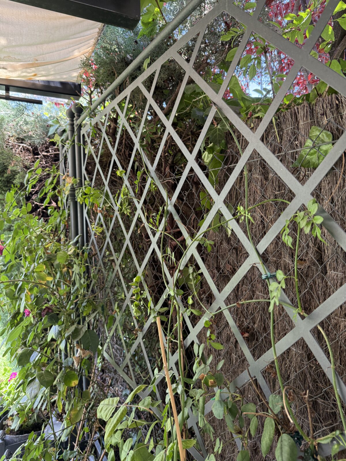 JARDINERA METÁLICA RECTANGULAR CON ENREJADO - Imagen 3