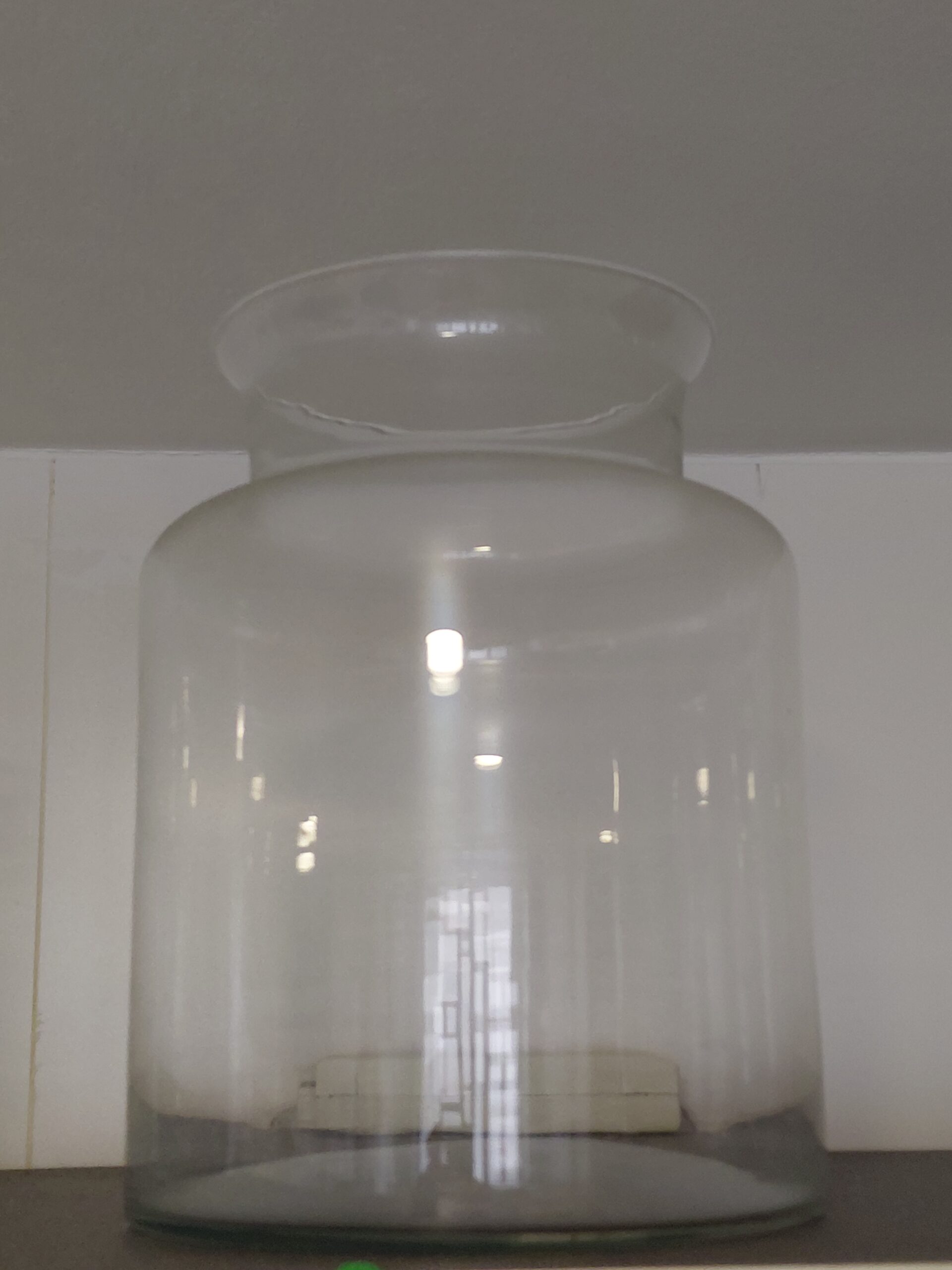 Jarrón cilíndrico de cristal transparente estilo tarro de boticario