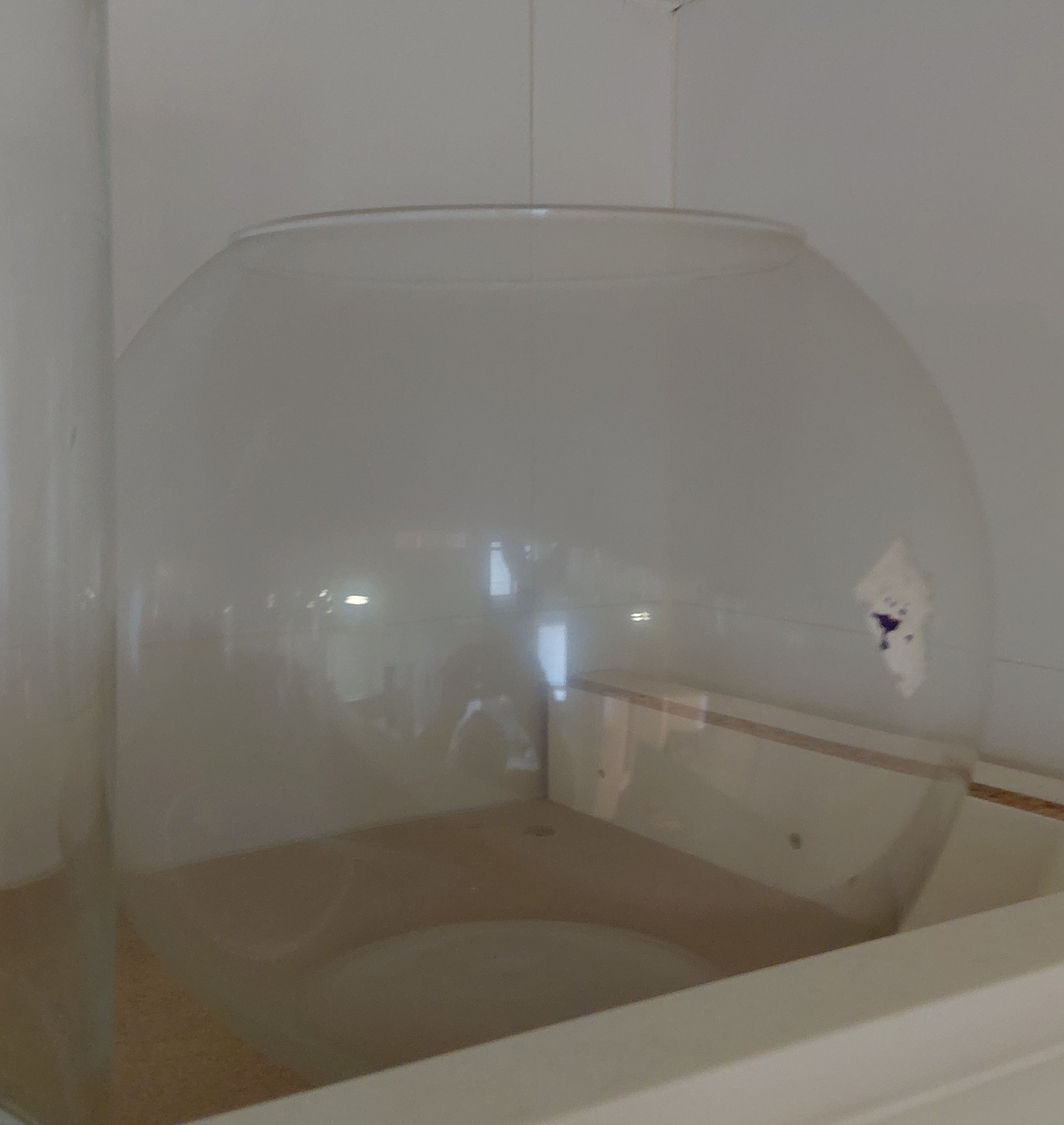 Jarrón esférico de cristal transparente / Pecera decorativa formato grande