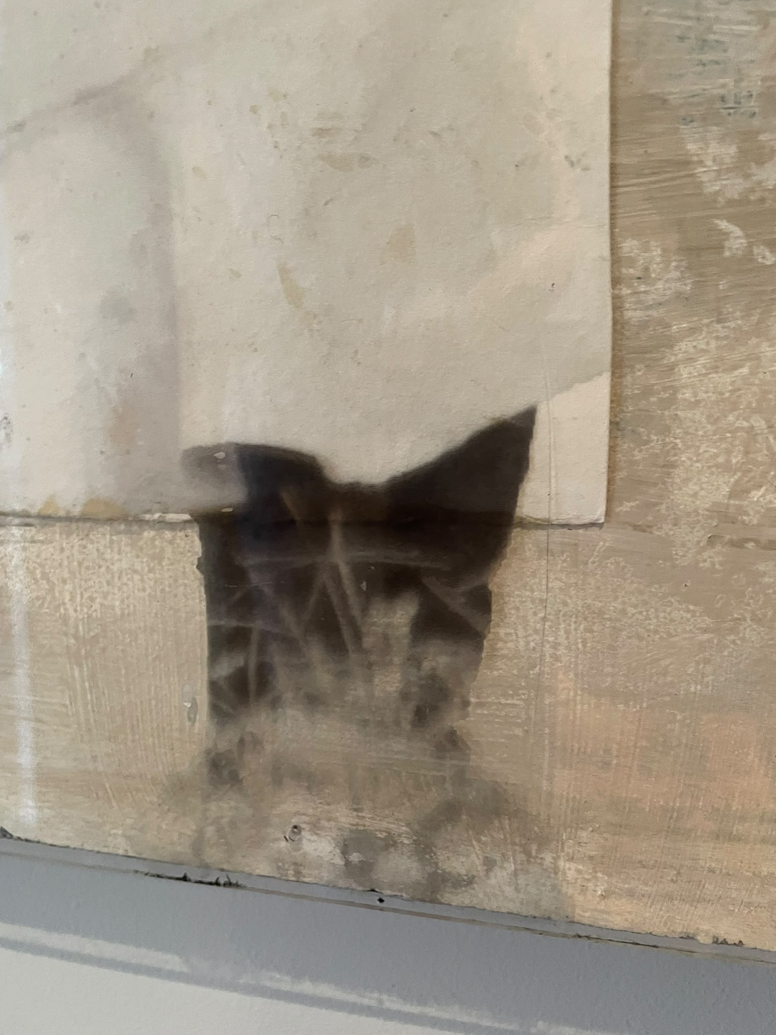 Díptico de Arte Contemporáneo - Imagen 4